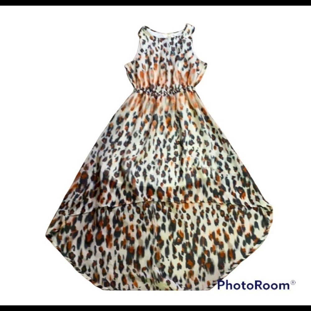 Live 4 Truth Animal Print High-Low Maxi Dress in Brown and Black